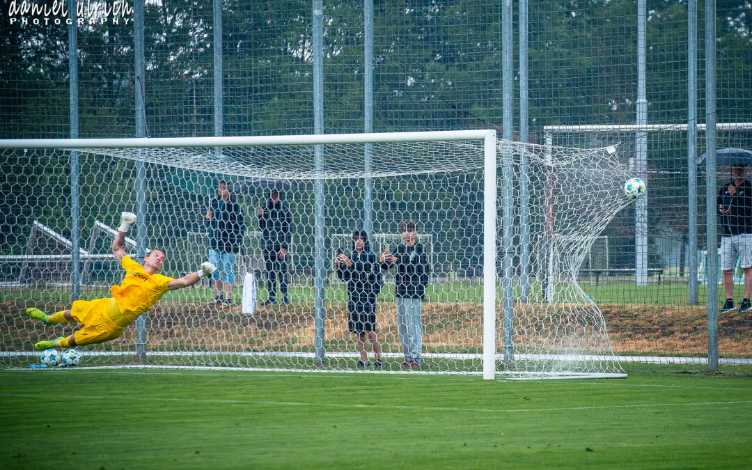 FC Viktoria Plzeň – FC Spartak Trnava  1:1